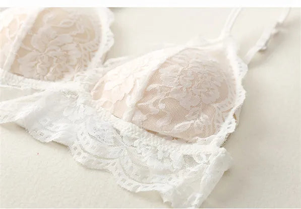 Floral Lace Bra And Panty Set Seamless Women Underwear Padded Bralette Female Intimates Transparent Bra Briefs Sexy Lingerie